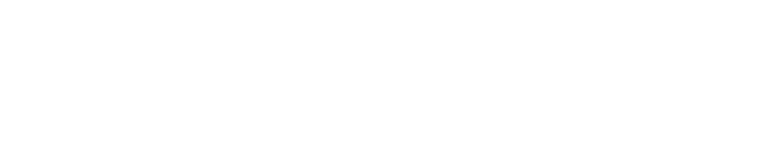 Avadin Logo
