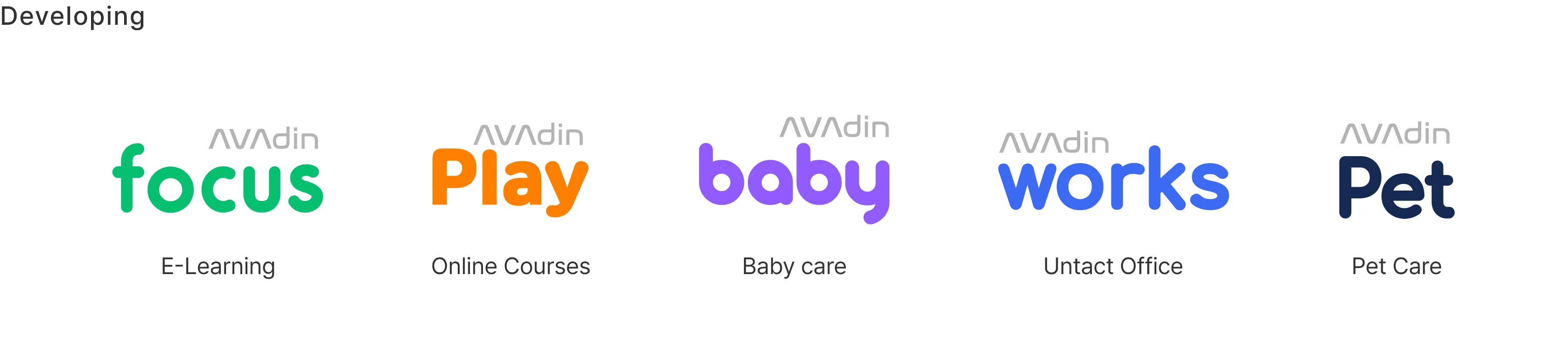Developing Service